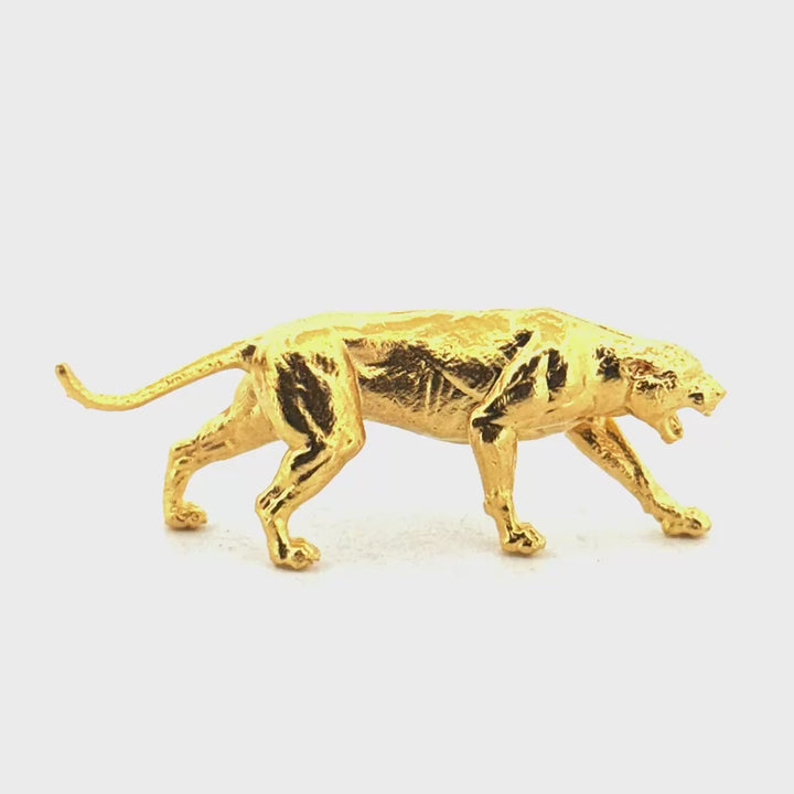 Cougar