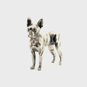 Boston Terrier V2
