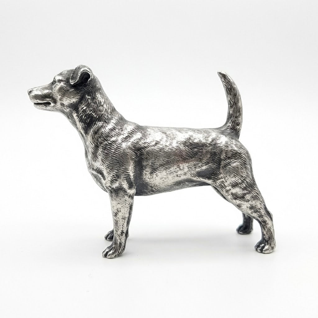 Jack Russell Terrier V2