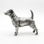 Jack Russell Terrier V2