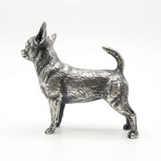 Chihuahua V2