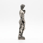 Michelangelo's David