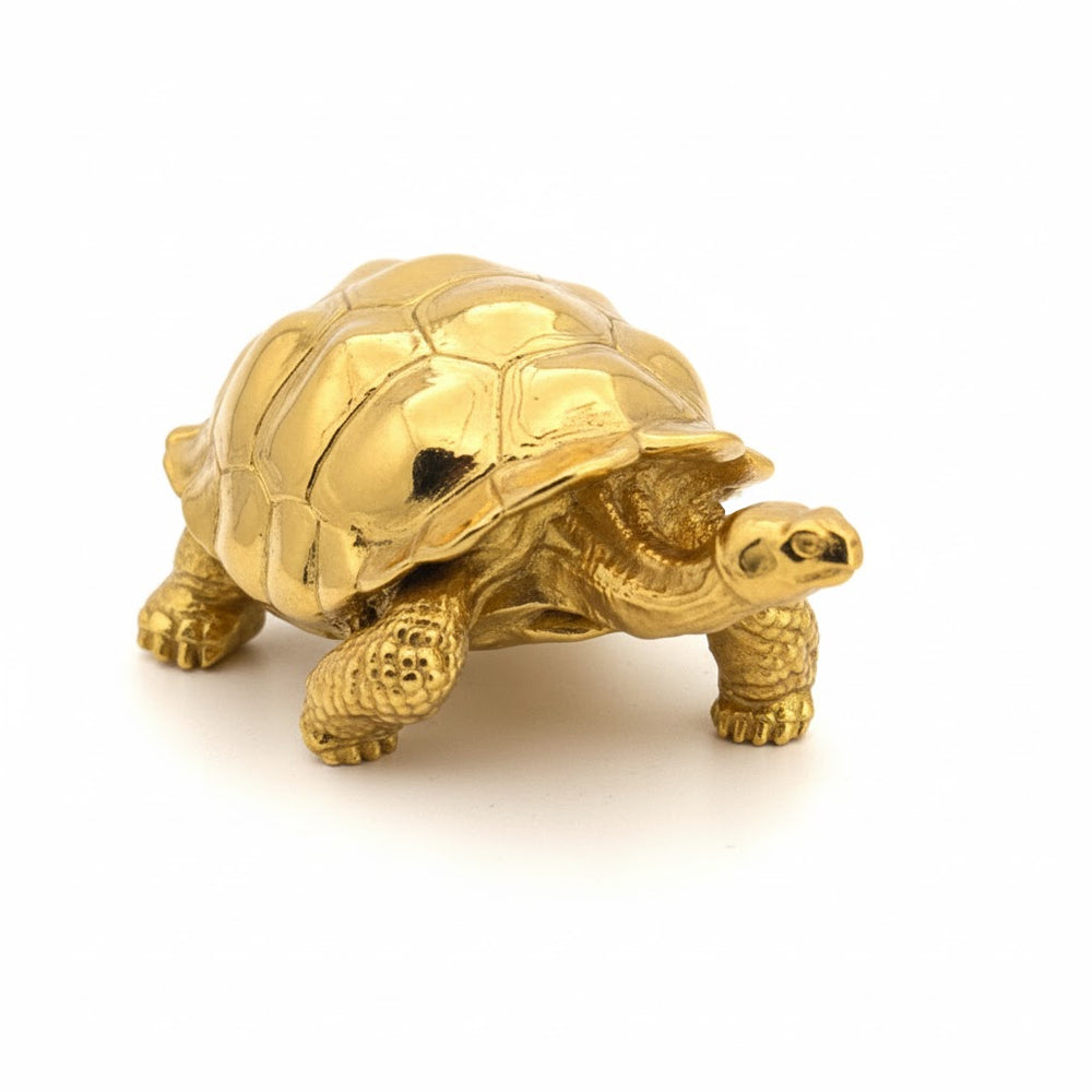 Galapagos Tortoise hand-poured 999+ silver statue by Gold Spartan