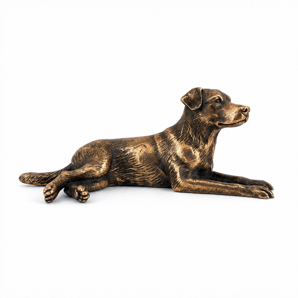 Labrador V2