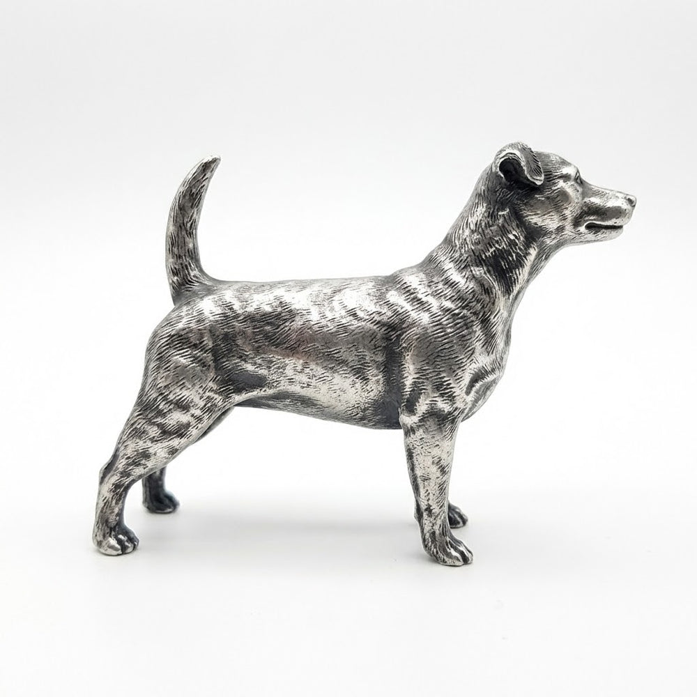 Jack Russell Terrier V2