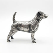 Jack Russell Terrier V2