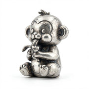 Baby Monkey