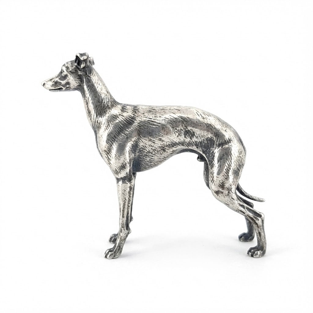 Italian Greyhound
