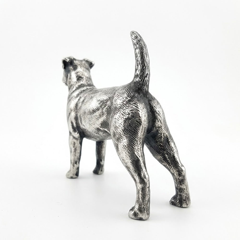 Jack Russell Terrier V2