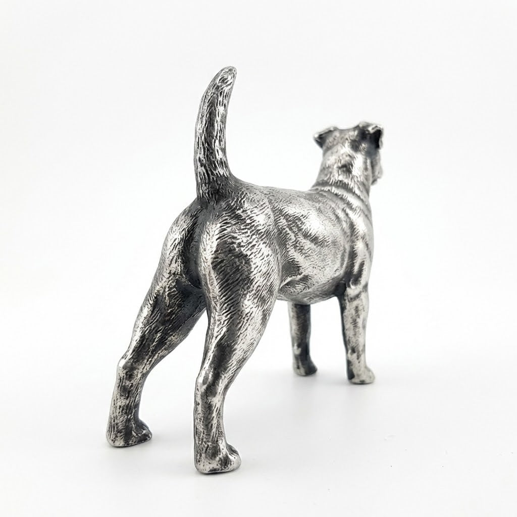 Jack Russell Terrier V2