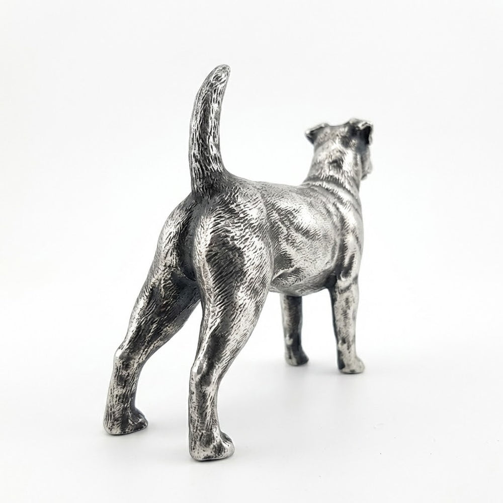 Jack Russell Terrier V2