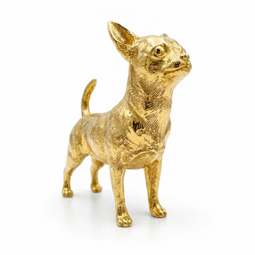 Chihuahua V2