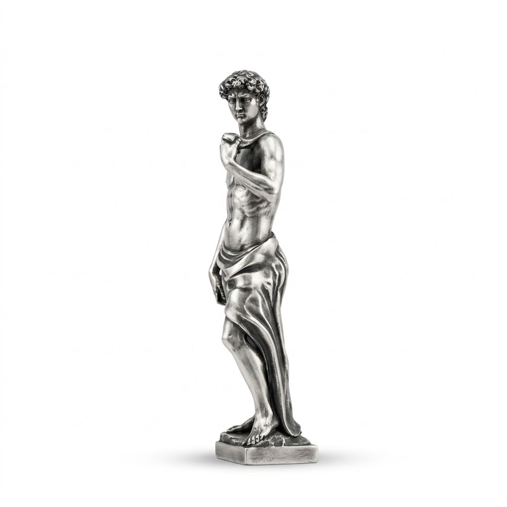 Michelangelo's David