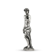 Michelangelo's David