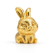Cute Bunny