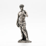 Michelangelo's David