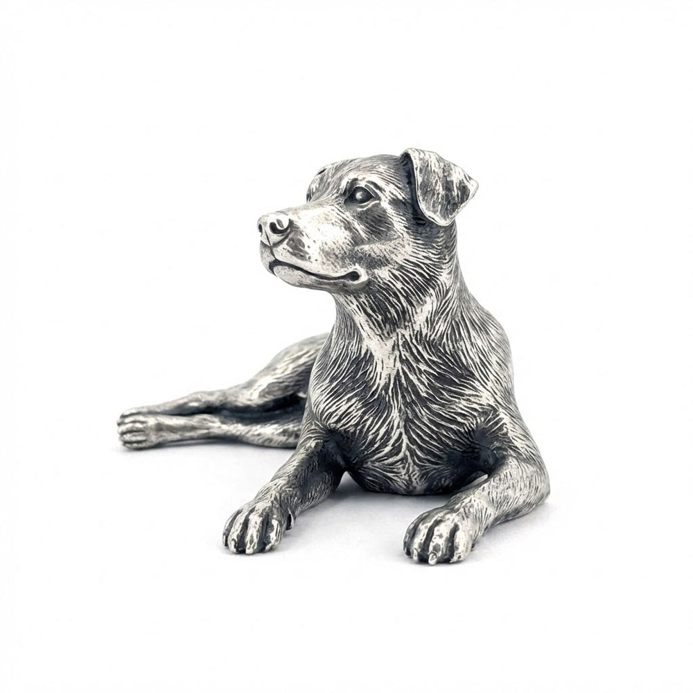 Labrador V2