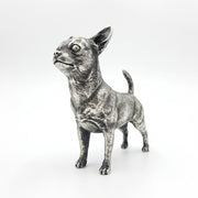 Chihuahua V2