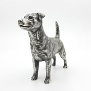 Jack Russell Terrier V2