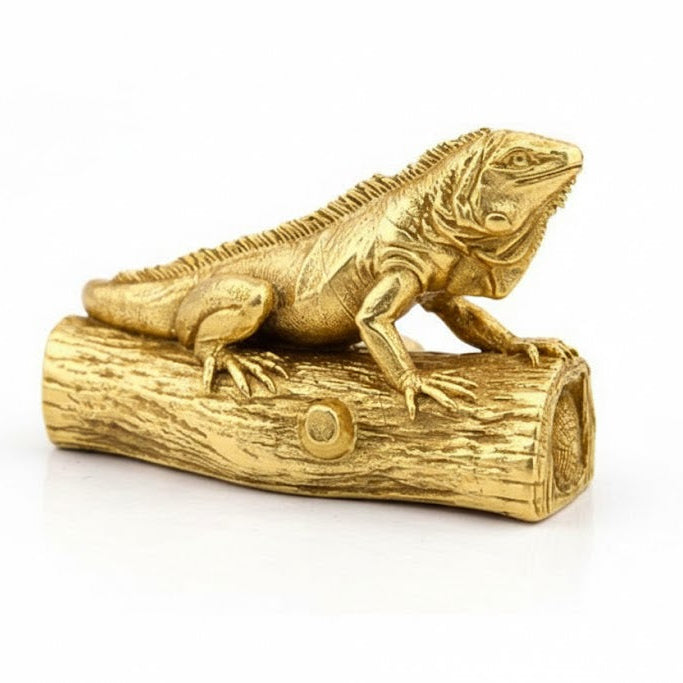 Iguana