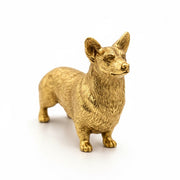 Corgi