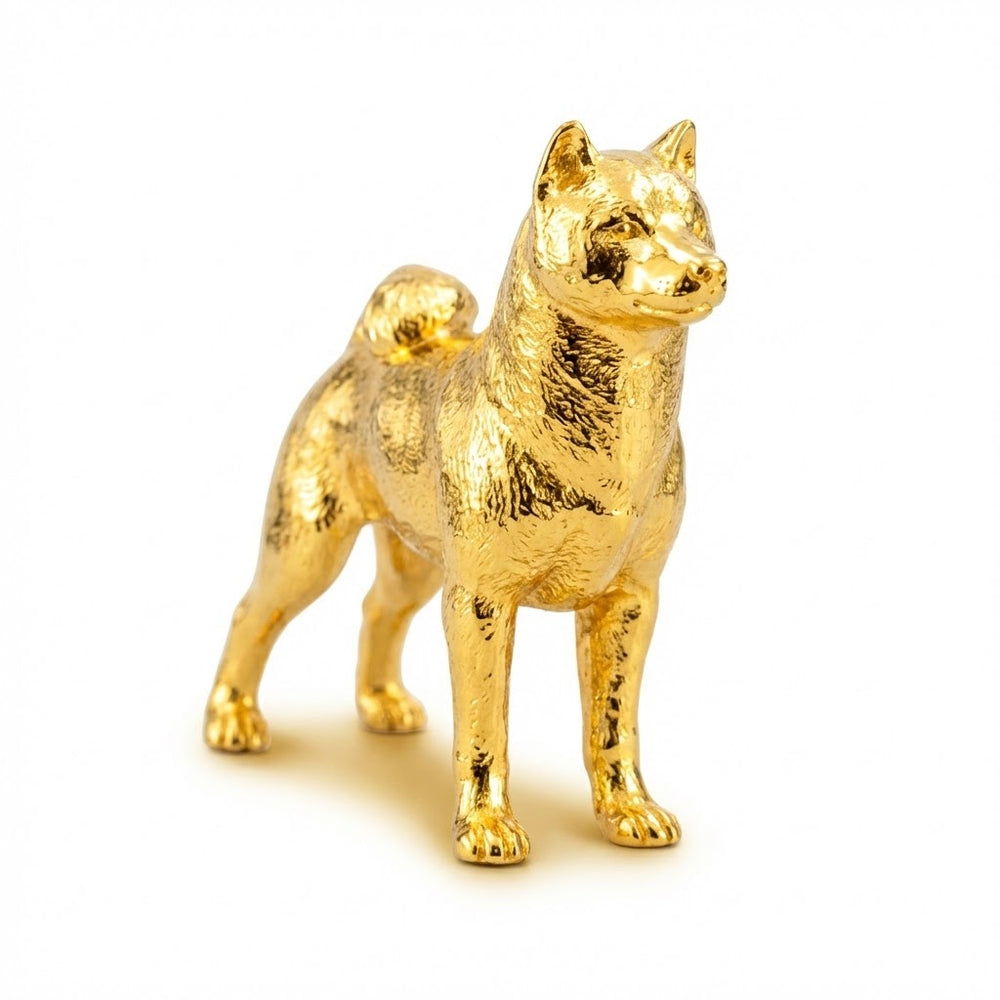 Shiba