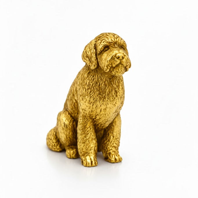 Golden Doodle