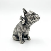 French Bulldog with Collar