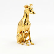 Whippet
