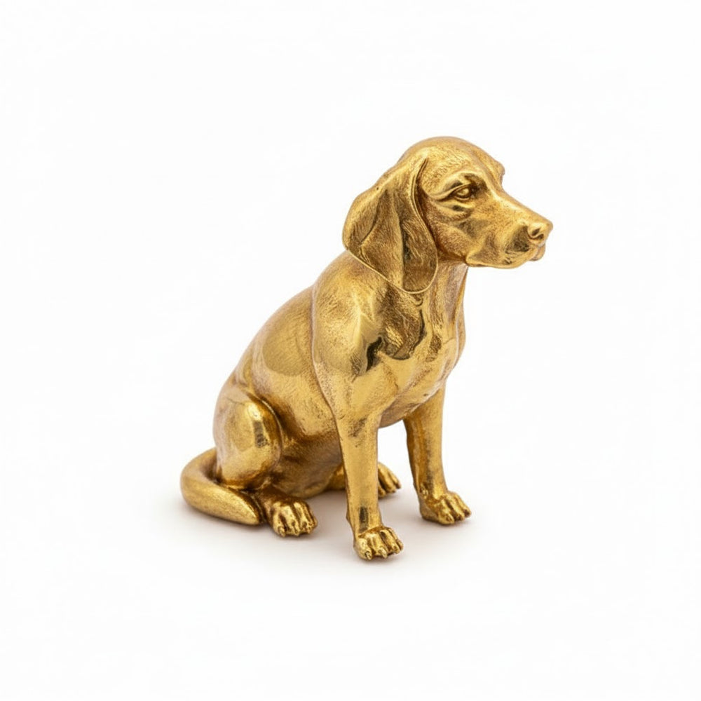 Beagle