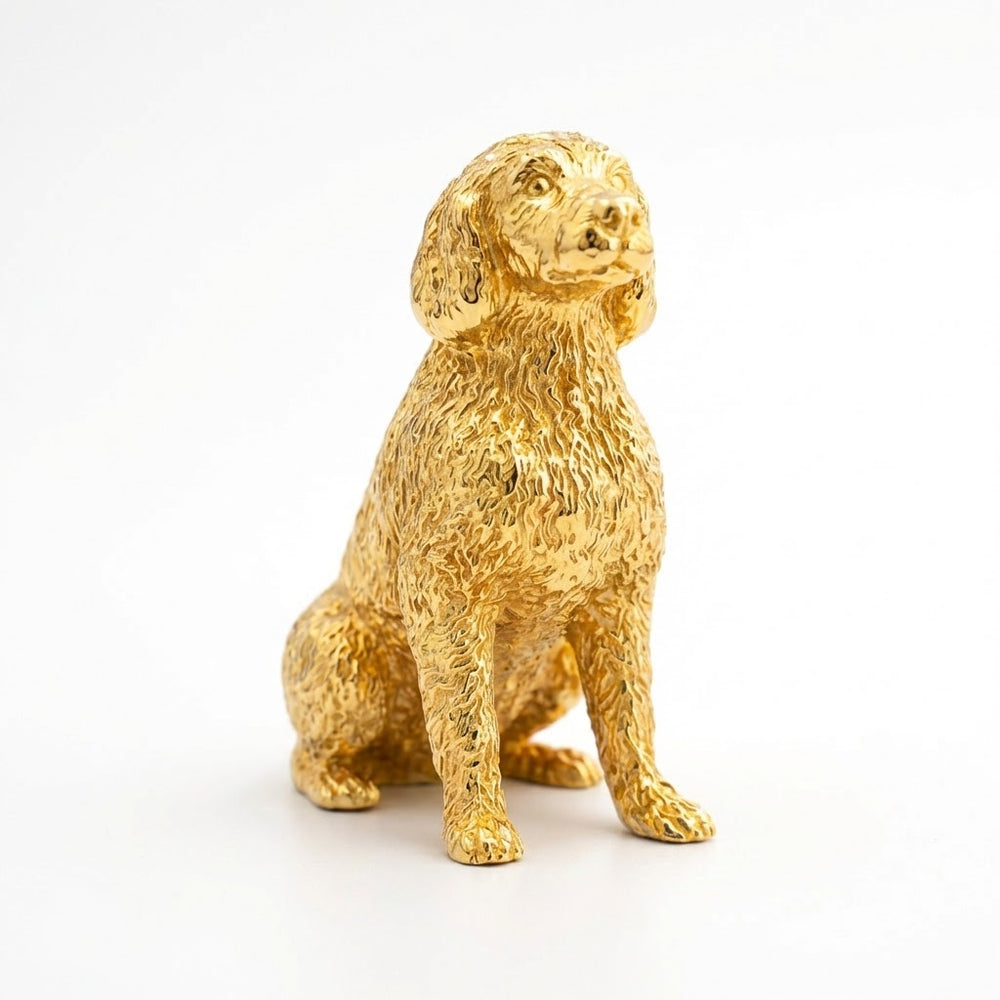 Labradoodle