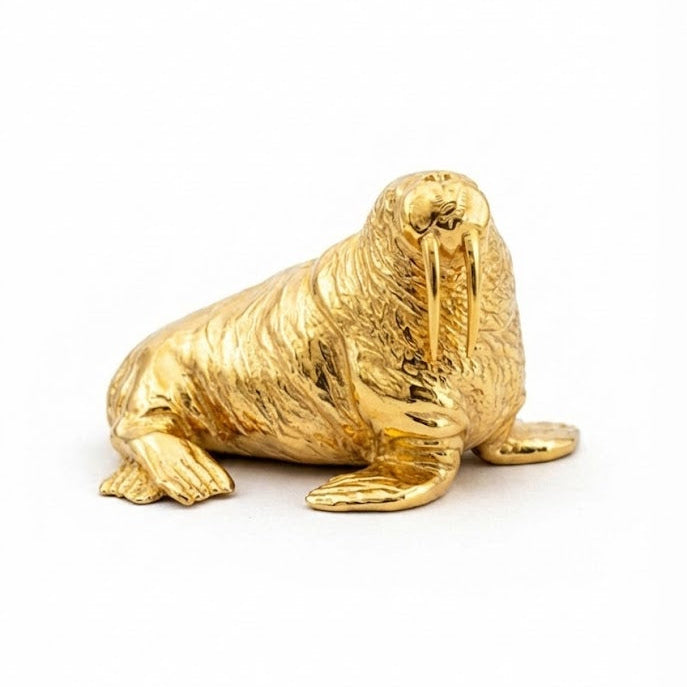 Walrus