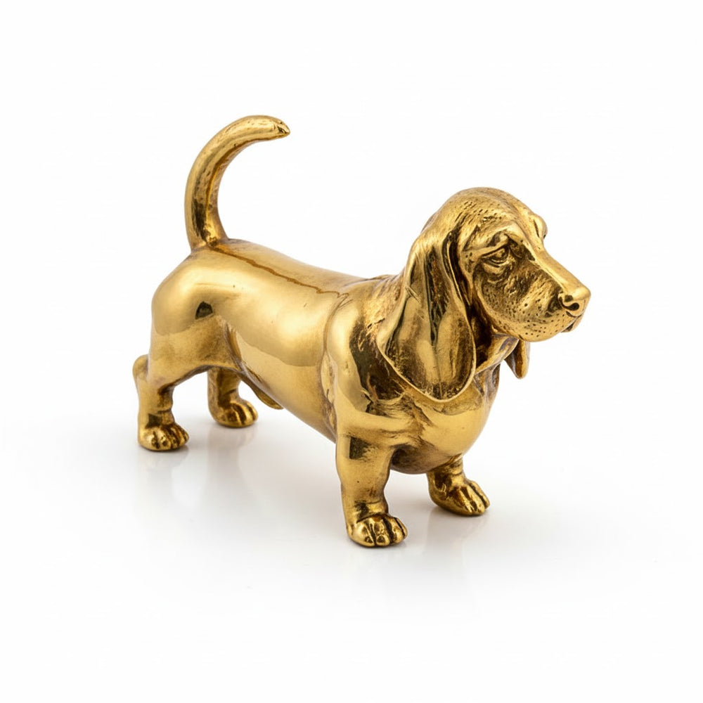 Basset Hound