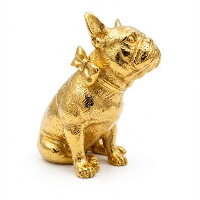 French Bulldog with Collar
