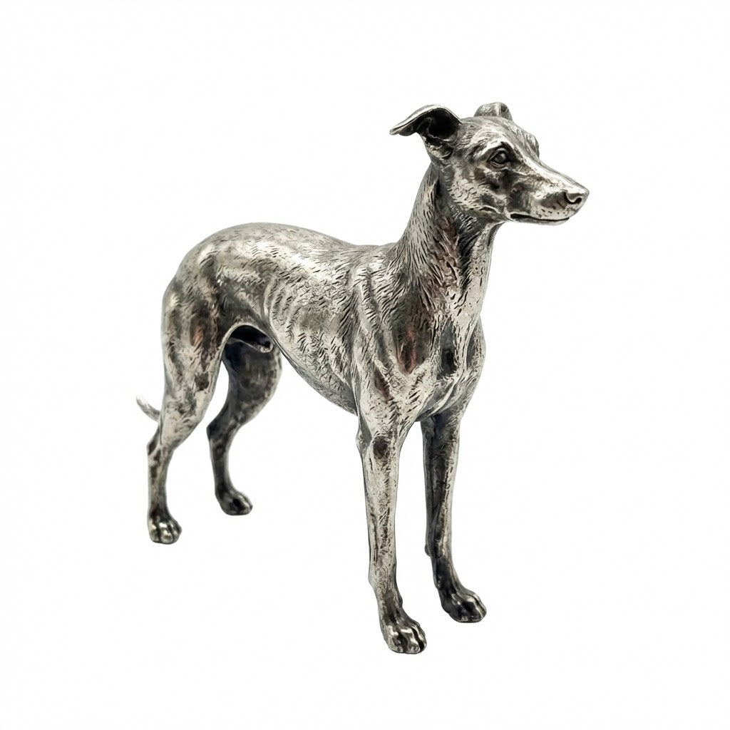 Italian Greyhound