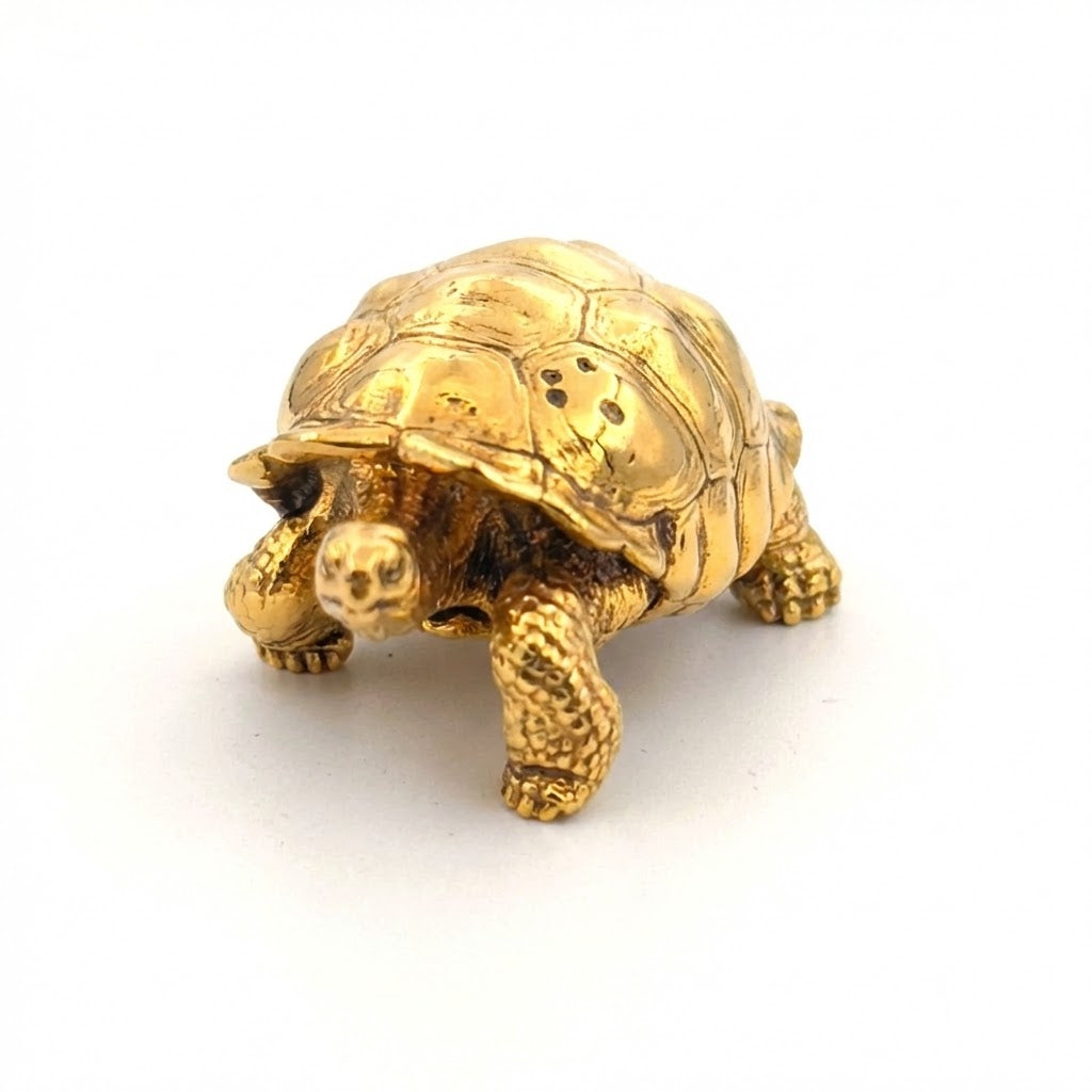 Galapagos Tortoise