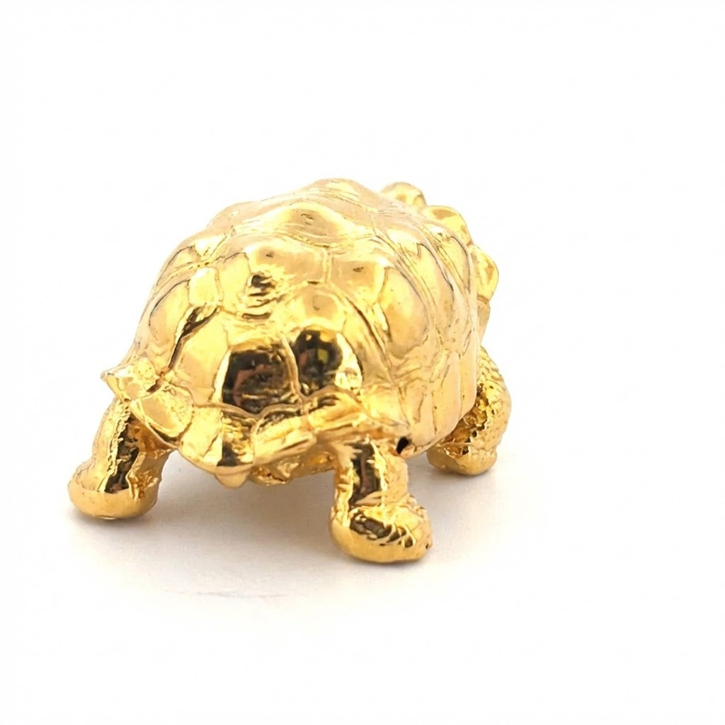 Galapagos Tortoise