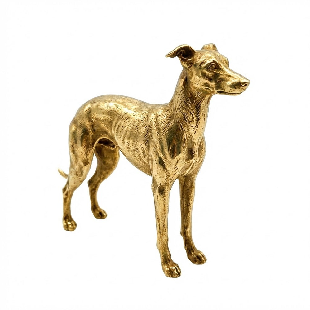 Italian Greyhound